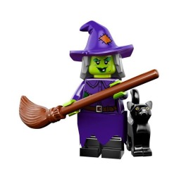 lego-wacky-witch-set-71010-4-4